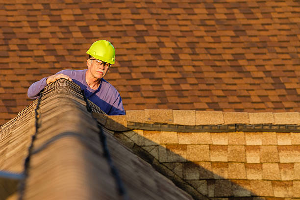 Best Storm Damage Roof Repair  in Rainbow Springs, FL