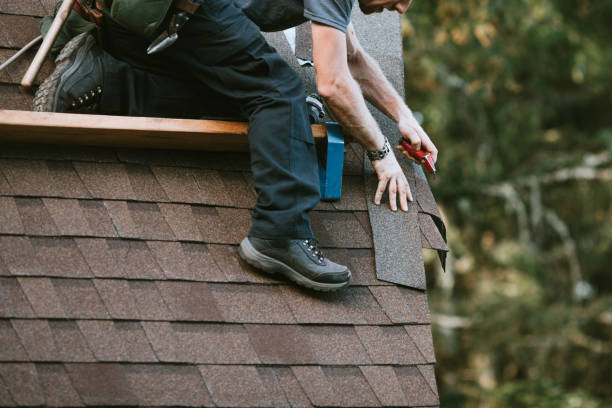 Best Shingle Roofing Installation  in Rainbow Springs, FL